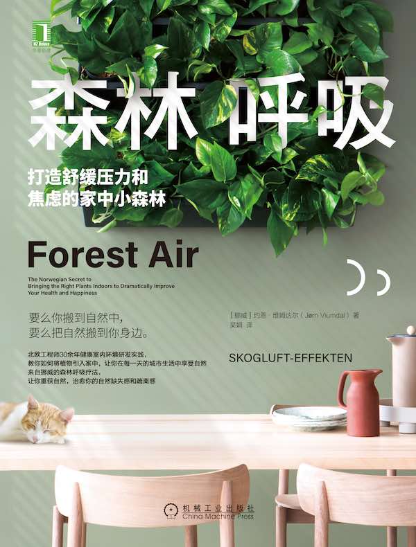 森林呼吸：打造舒缓压力和焦虑的家中小森林
