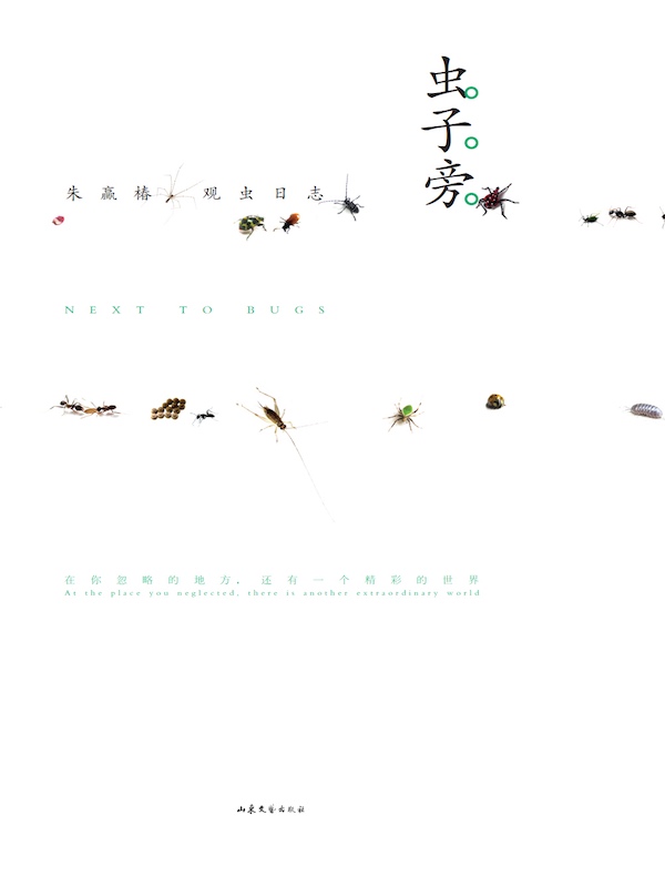 虫子旁