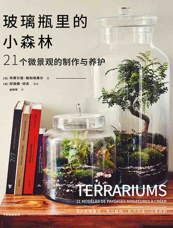 玻璃瓶里的小森林：21个微景观的制作与养护