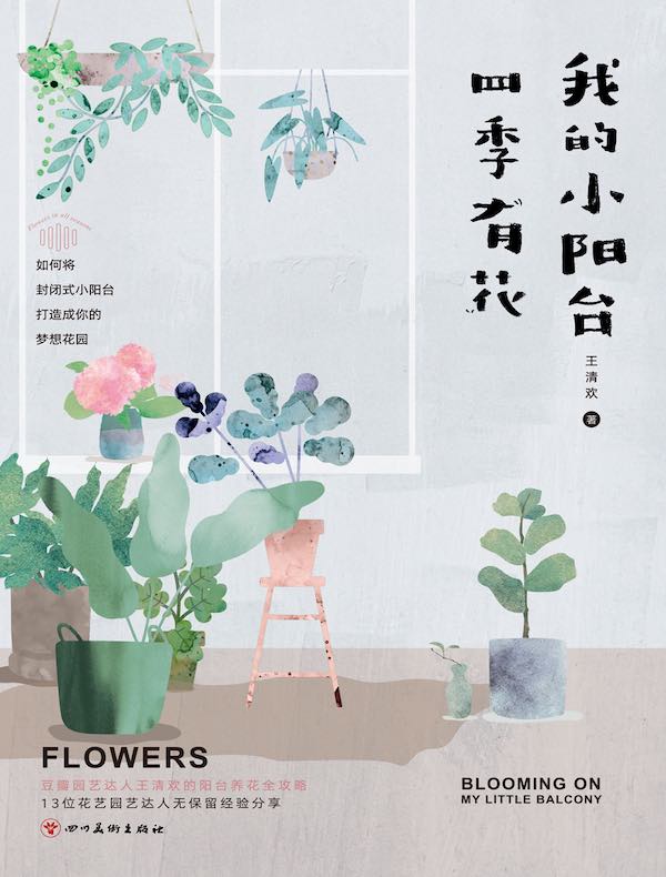 我的小阳台四季有花