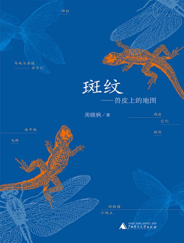 斑纹：兽皮上的地图