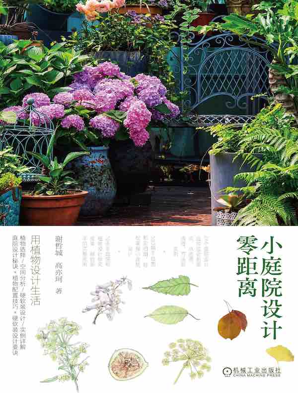 小庭院设计零距离