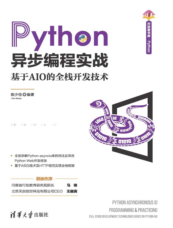 Python异步编程实战：基于AIO的全栈开发技术