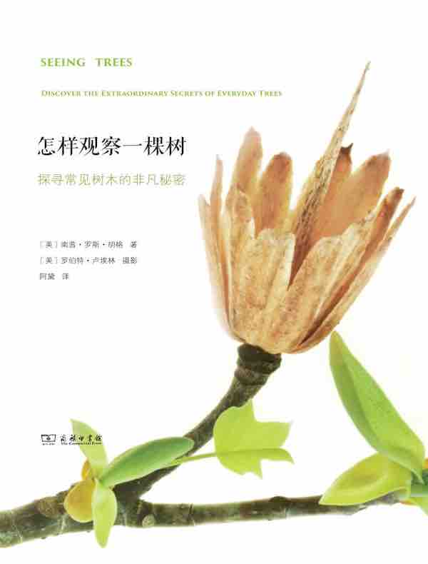 怎样观察一棵树：探寻常见树木的非凡秘密