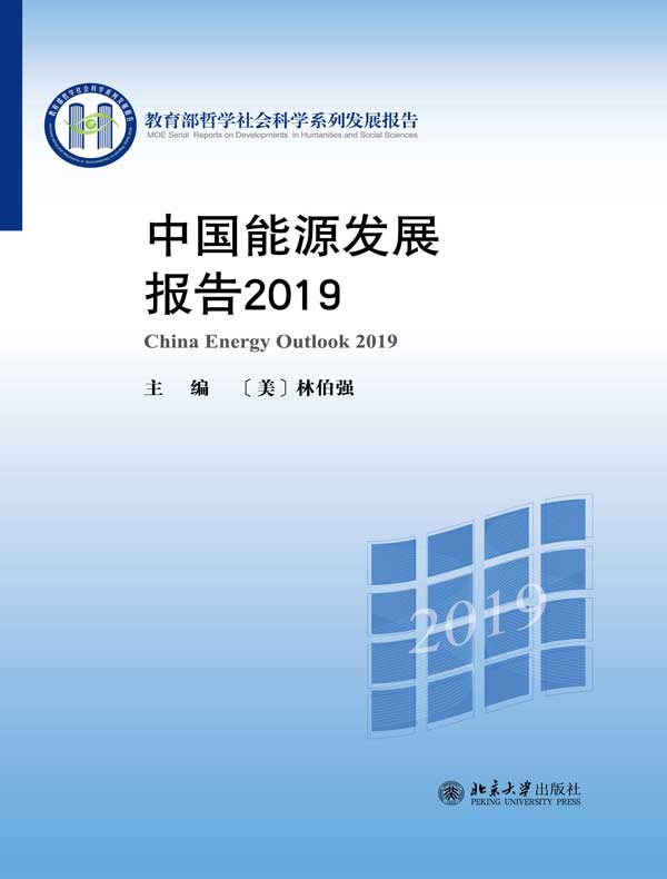中国能源发展报告2019