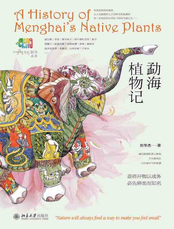 勐海植物记