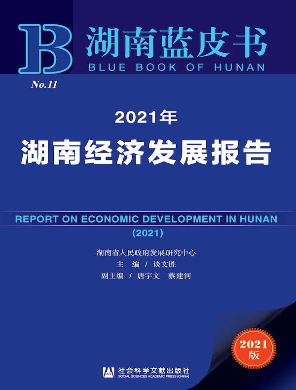 2021年湖南经济发展报告（湖南蓝皮书）