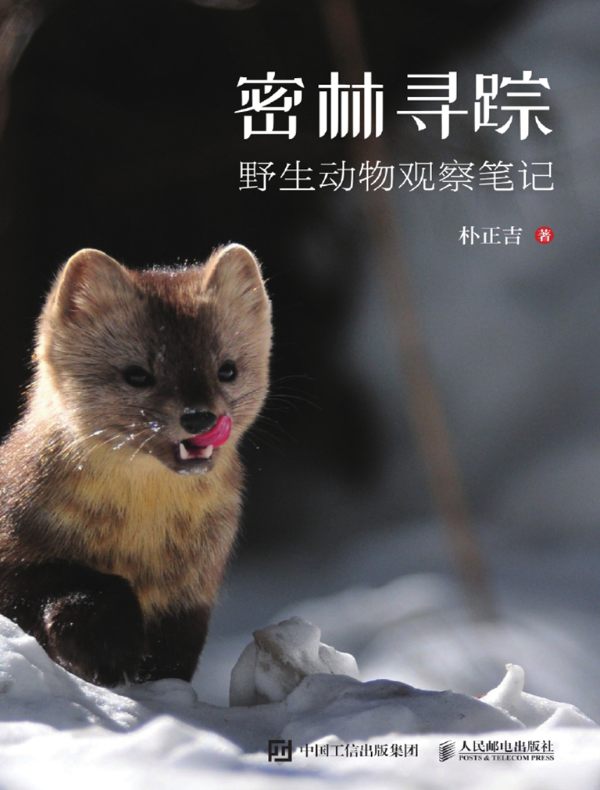 密林寻踪：野生动物观察笔记