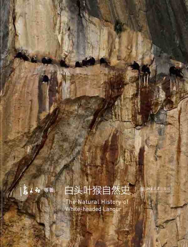 白头叶猴自然史