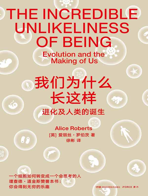 我们为什么长这样