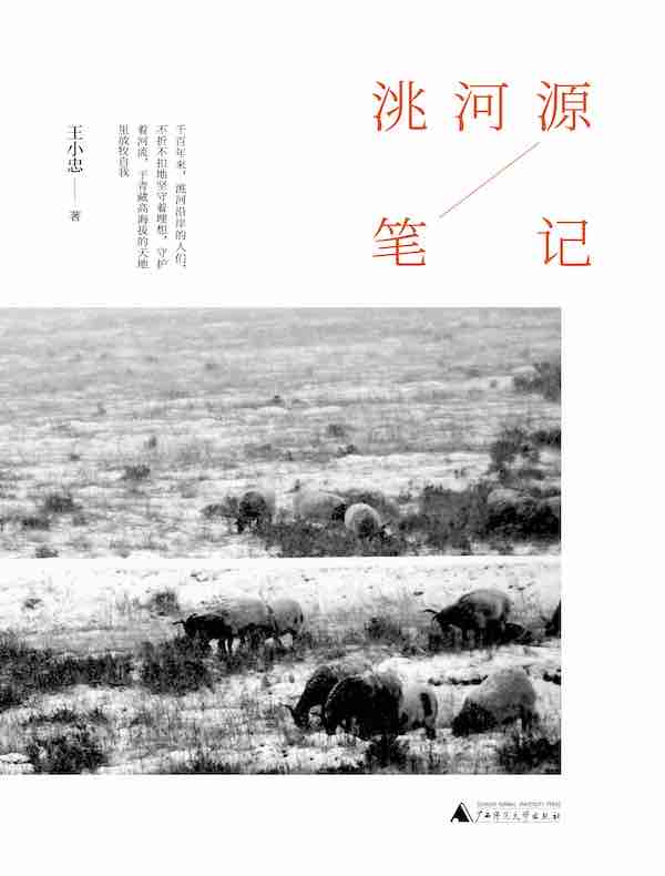 洮河源笔记