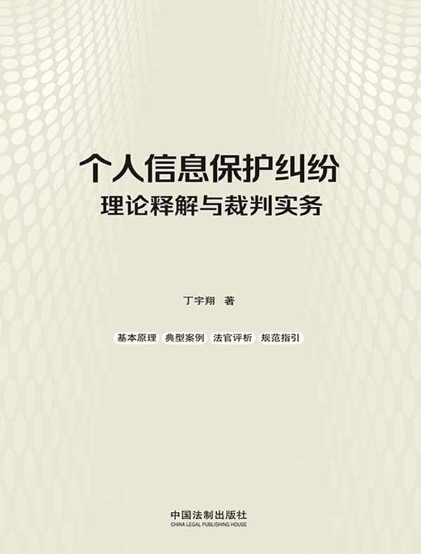 个人信息保护纠纷理论释解与裁判实务