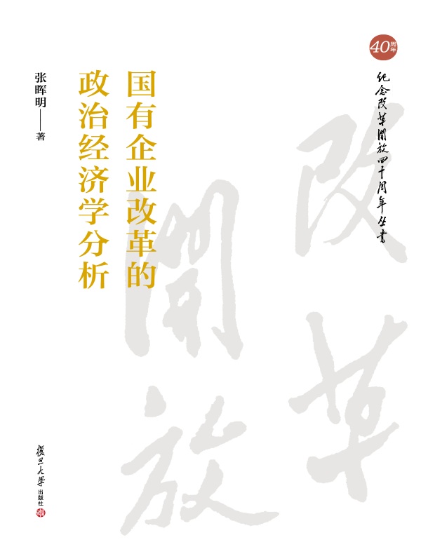 国有企业改革的政治经济学分析