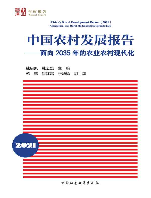 中国农村发展报告2021