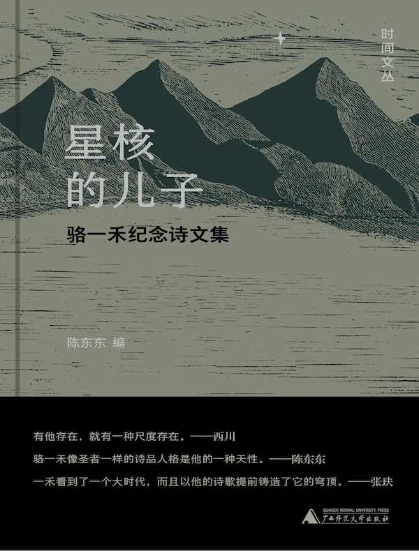星核的儿子：骆一禾纪念诗文集