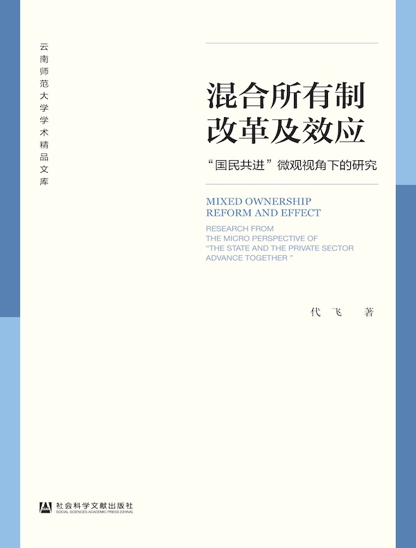 混合所有制改革及效应：“国民共进”微观视角下的研究