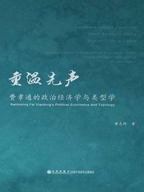 重温先声：费孝通的政治经济学与类型学