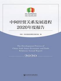中阿经贸关系发展进程2020年度报告