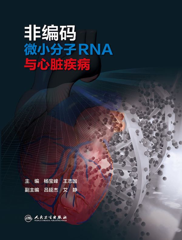 非编码微小分子RNA与心脏疾病
