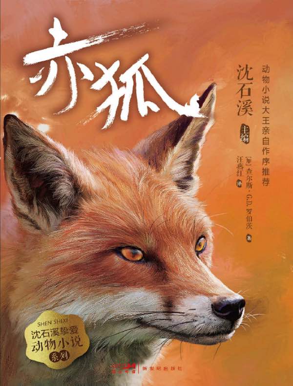 沈石溪挚爱动物小说系列·2：赤狐