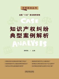 知识产权纠纷典型案例解析