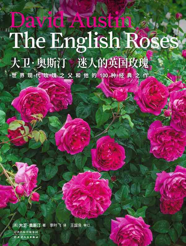 生活美学：大卫·奥斯汀迷人的英国玫瑰