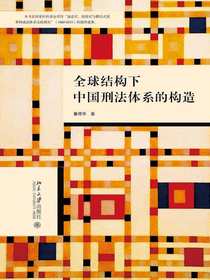全球结构下中国刑法体系的构造