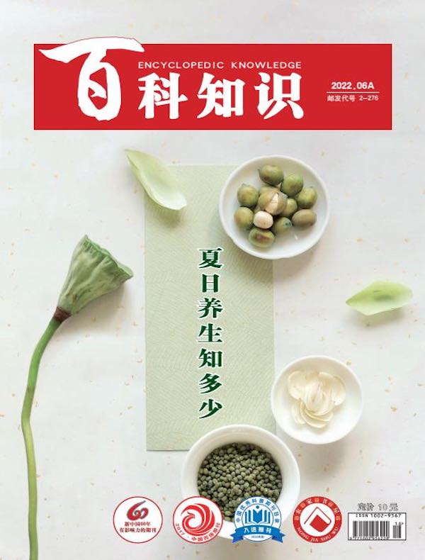 百科知识（2022年第11期）