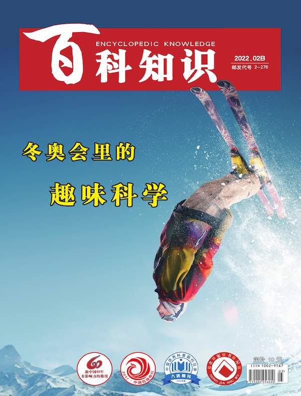 百科知识（2022年第4期）