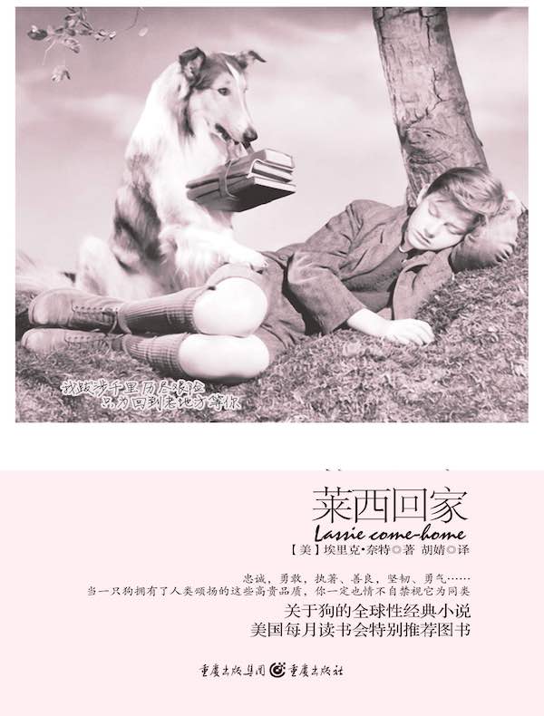 莱西回家