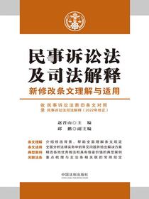 民事诉讼法及司法解释新修改条文理解与适用