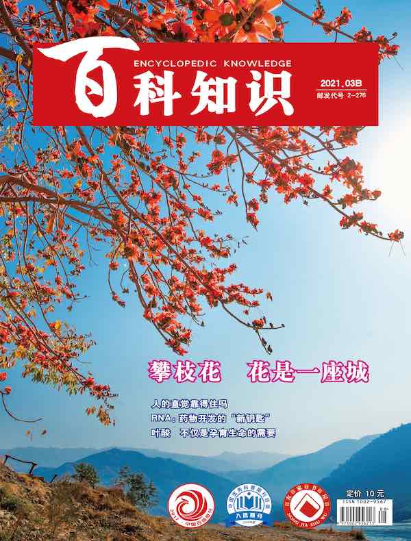 百科知识（2021年第6期）