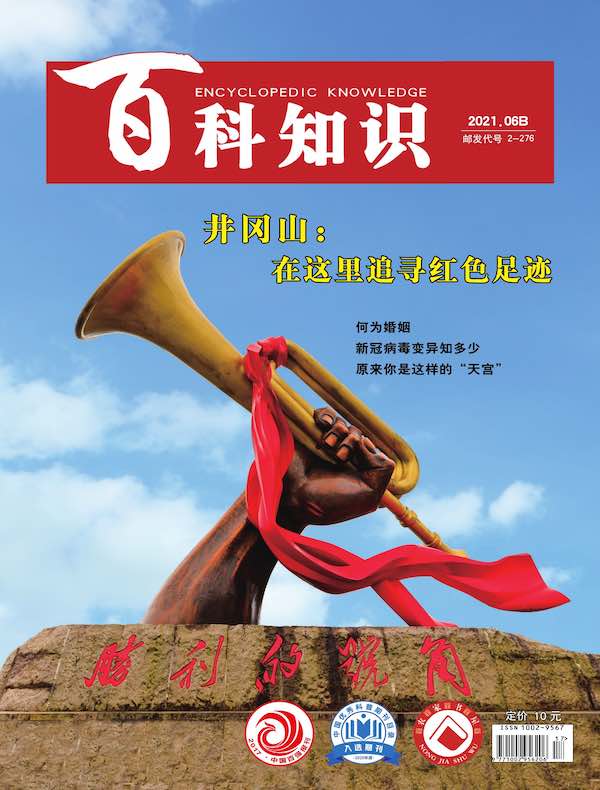 百科知识（2021年第12期）