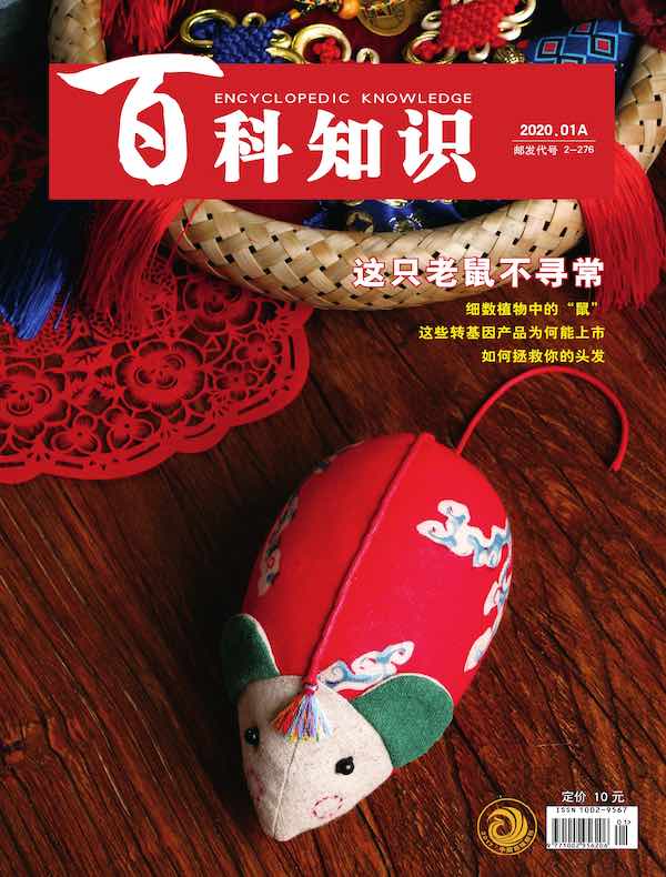 百科知识（2020年第1期）