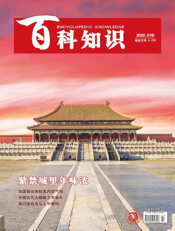 百科知识（2020年第2期）