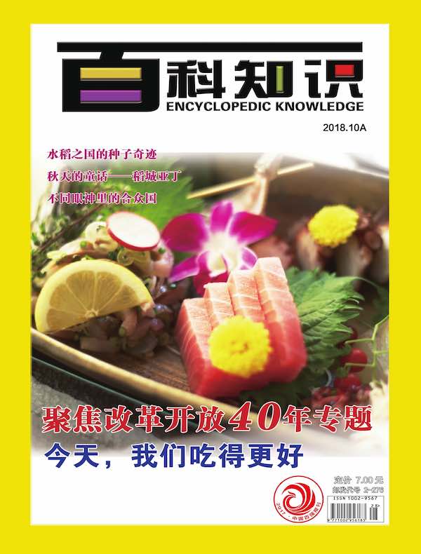 百科知识（2018年第19期）