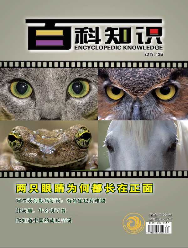 百科知识（2019年第24期）