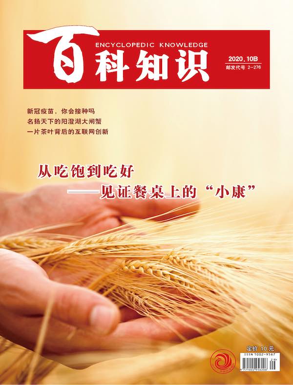 百科知识（2020年第20期）