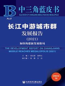 长江中游城市群发展报告（2021）：加快构建新发展格局