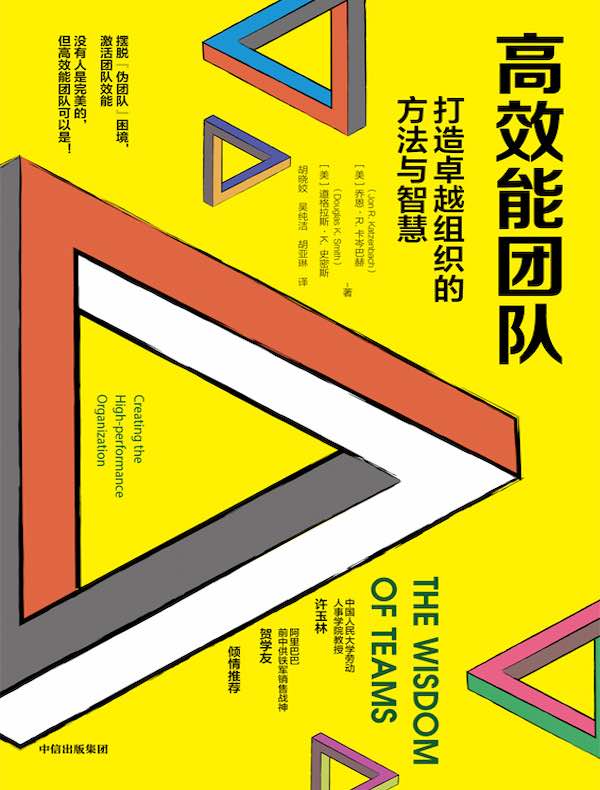 高效能团队:打造卓越组织的方法与智慧