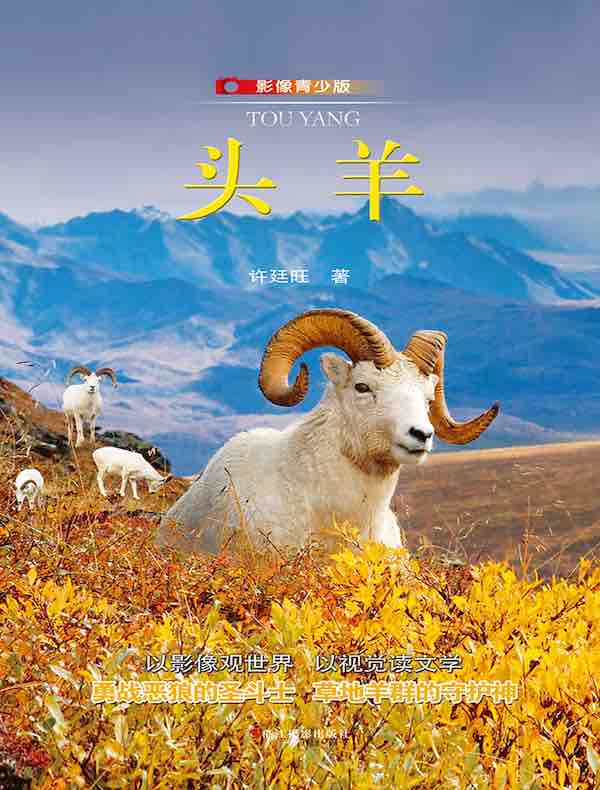 头羊(影像青少版)