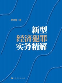 新型经济犯罪实务精解