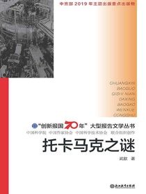 托卡马克之谜