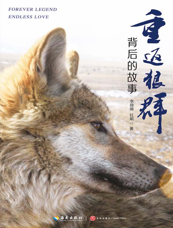 重返狼群背后的故事