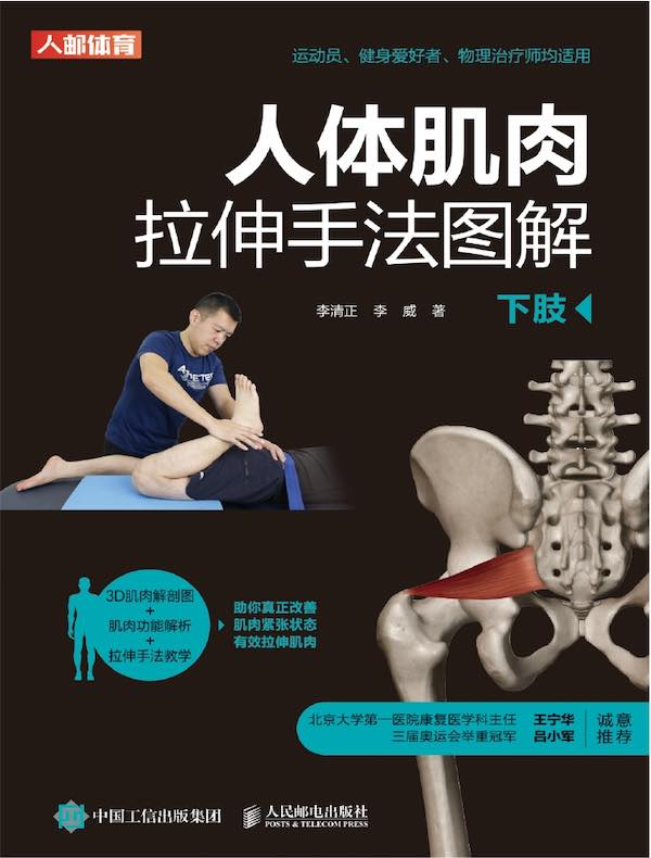 人体肌肉拉伸手法图解(下肢)