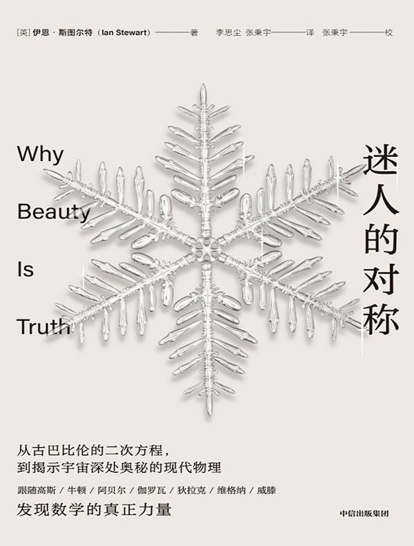 迷人的对称
