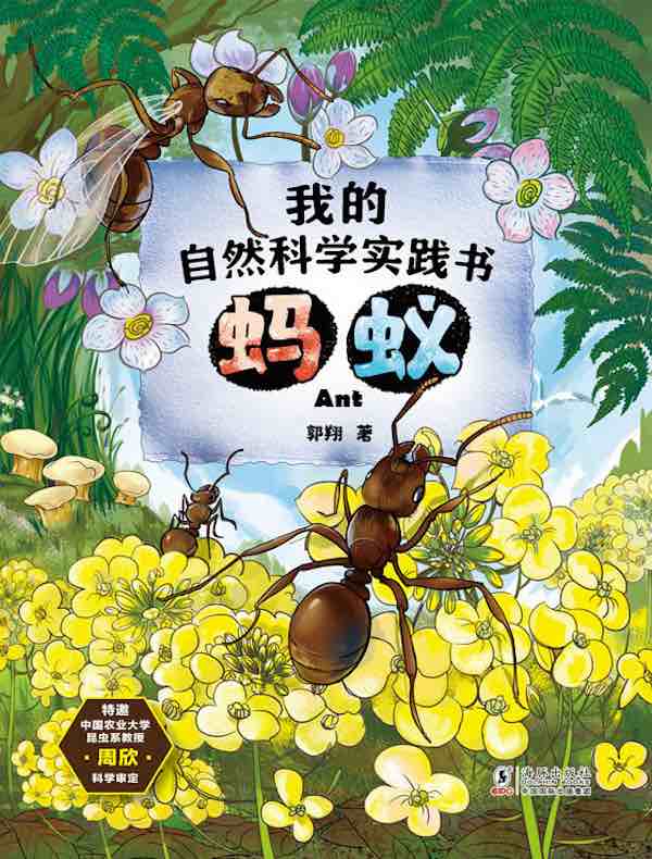 我的自然科学实践书 蚂蚁