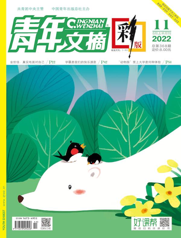 青年文摘（彩版）2022年第11期