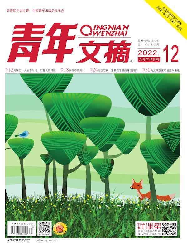 青年文摘（2022年第12期）