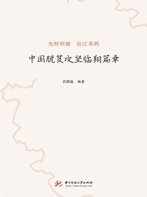 中国脱贫攻坚临翔篇章